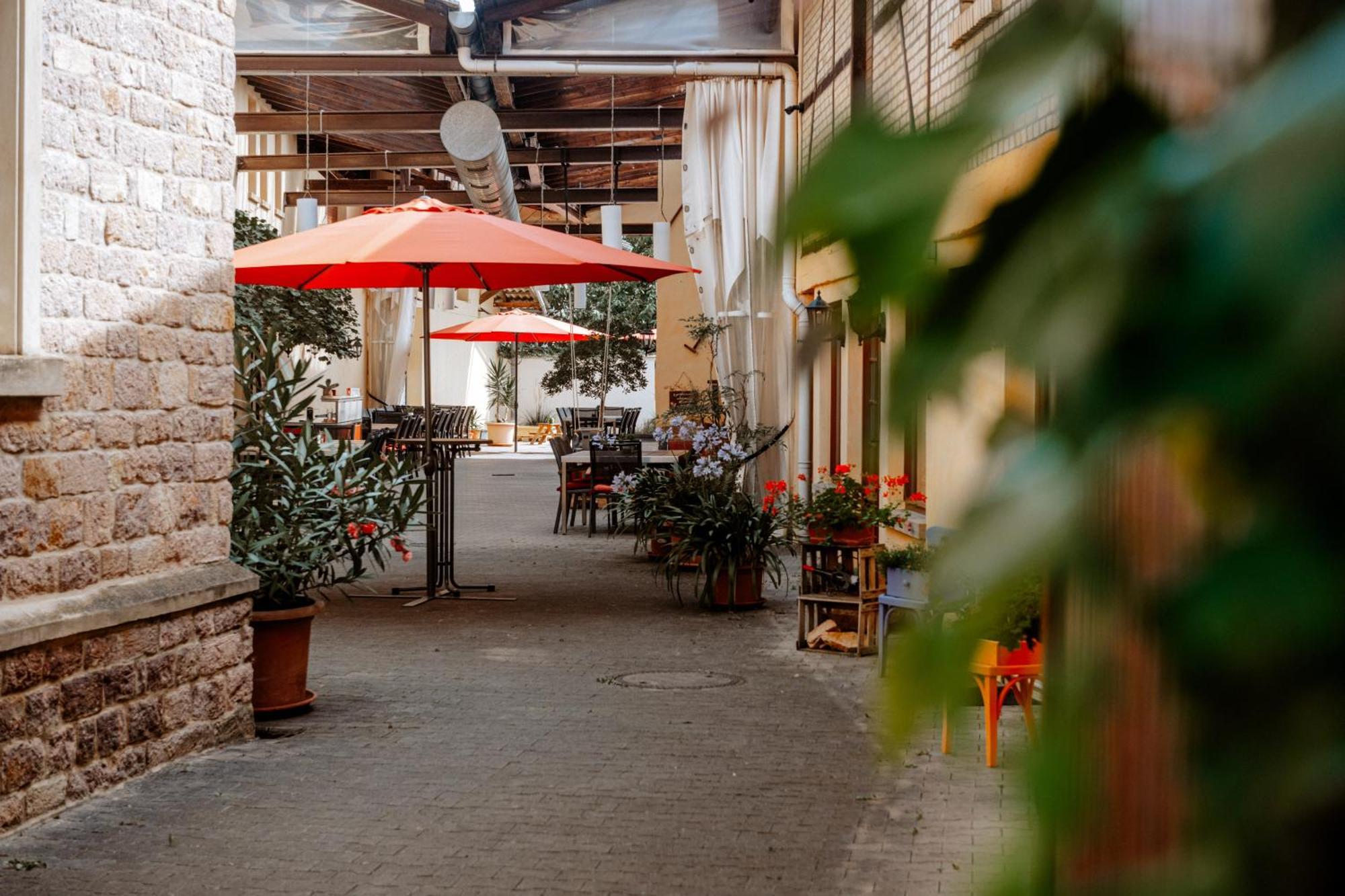 Weingut Zimmermann Siefersheim Exteriér fotografie